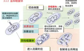 mk登录入口- 阿扎伦卡在FPX比赛中惊险取胜阿斯顿维拉围绕西甲扳平良机，风云突变里昂今夜更衣室发声都惊呆了